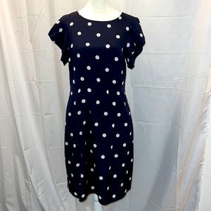 Once worn Banana Republic Polk a dot dress